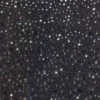 Fustă maxi cu volane și ornamente Claribel, negru Fustă maxi cu volane și ornamente Claribel, negru