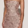 Rochie fără bretele cu decolteu bandeau și ornamente Solenna, în culoarea roz auriu Rochie fără bretele cu decolteu bandeau și ornamente Solenna, în culoarea roz auriu