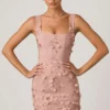 Rochie mini corset cu aplicații decorative Briar, în nuanța Dusty Rose