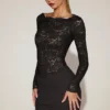 Rochie mini din dantelă transparentă cu gât în V Eirlys, negru Rochie mini din dantelă transparentă cu gât în V Eirlys, negru