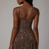 Rochie mini transparentă cu decolteu rotund și ornamente Durrani, culoare ciocolată închisă Rochie mini transparentă cu decolteu rotund și ornamente Durrani, culoare ciocolată închisă