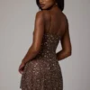 Rochie mini transparentă cu decolteu rotund și ornamente Durrani, culoare ciocolată închisă Rochie mini transparentă cu decolteu rotund și ornamente Durrani, culoare ciocolată închisă