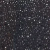 Top scurt cu mâneci lungi și ornamente Lumina, negru